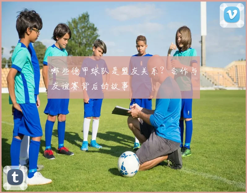 哪些德甲球队是盟友关系?合作与友谊赛背后的故事