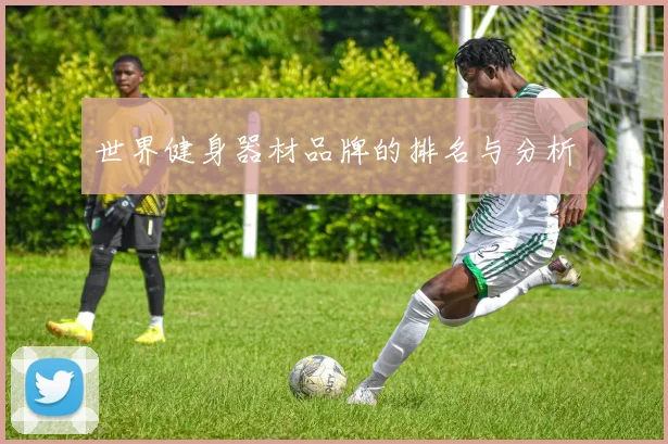 世界健身器材品牌的排名与分析