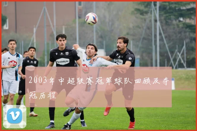 2003年中超联赛冠军球队回顾及夺冠历程