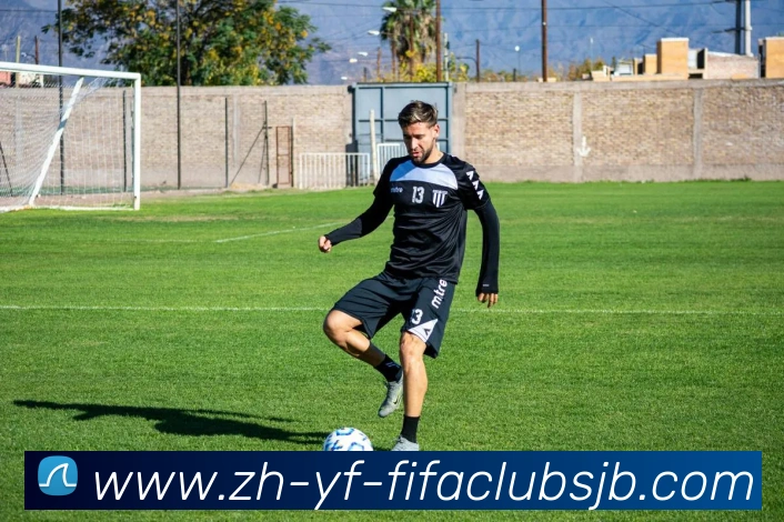 世界杯赛程平台生态图