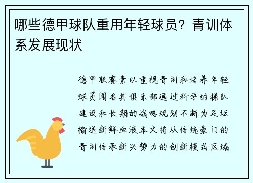 哪些德甲球队重用年轻球员？青训体系发展现状