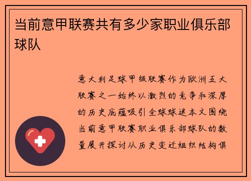 当前意甲联赛共有多少家职业俱乐部球队